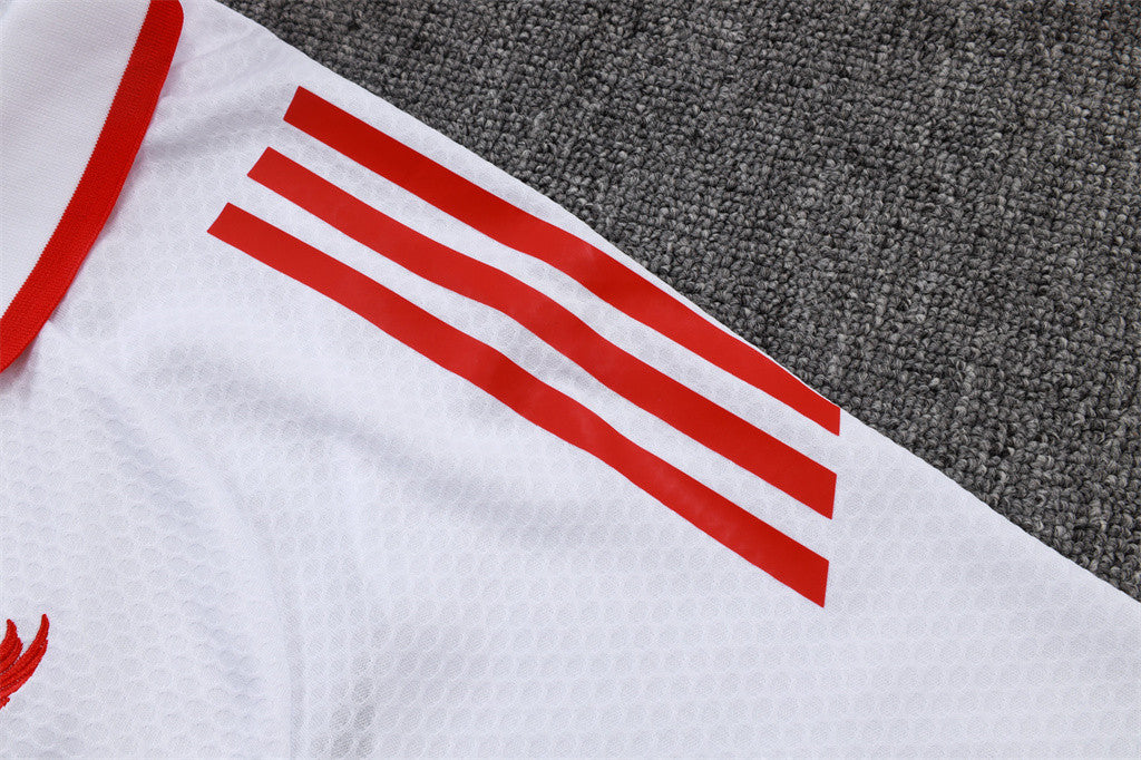 Liverpool POLO Jersey 25/26