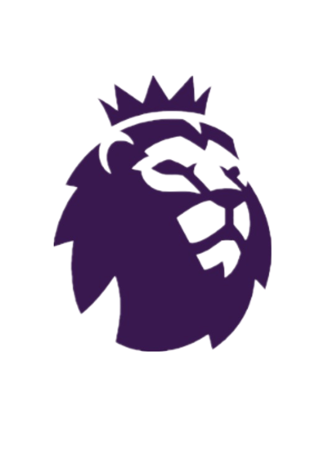 Wolves Home Man Jersey 24/25