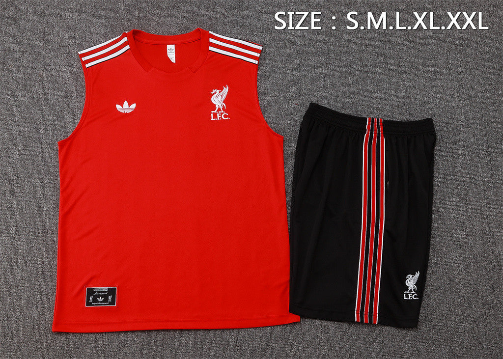 Liverpool Training Jersey 25/26