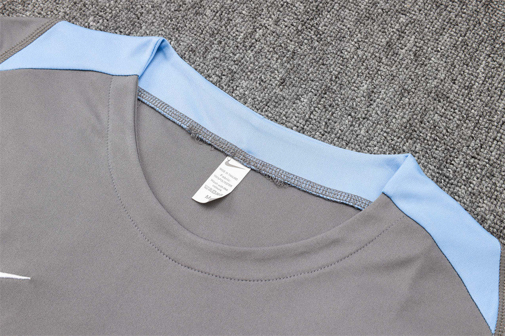 Tottenham Hotspur Training Jersey 24/25