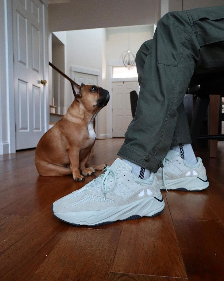 Yeezy Boost 700 Salt EG7487