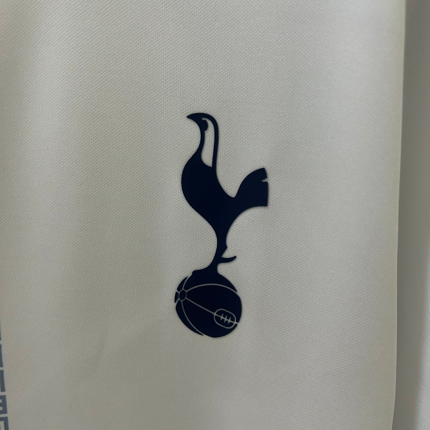 Tottenham Hotspur Year of the Snake Warm Up Man Jersey 25/26