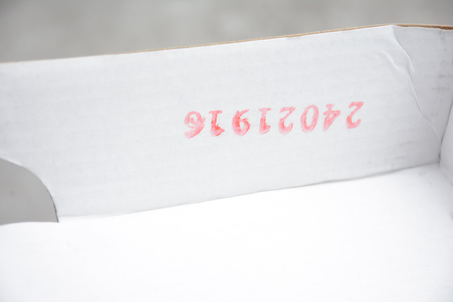 Air Jordan 11 Low Snakeskin “Light Bone” CD6846-002